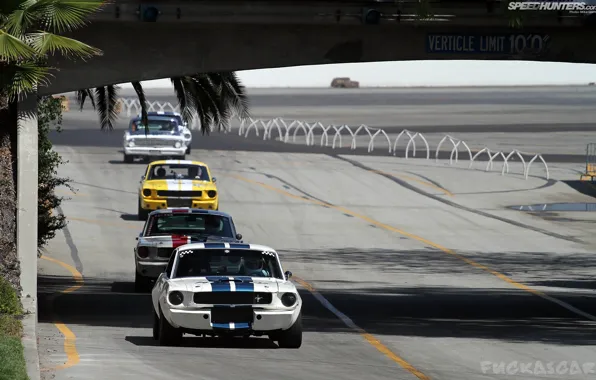 Ford, mustang, USA, 1964, amc, Speedhunters, origin, fuckascar
