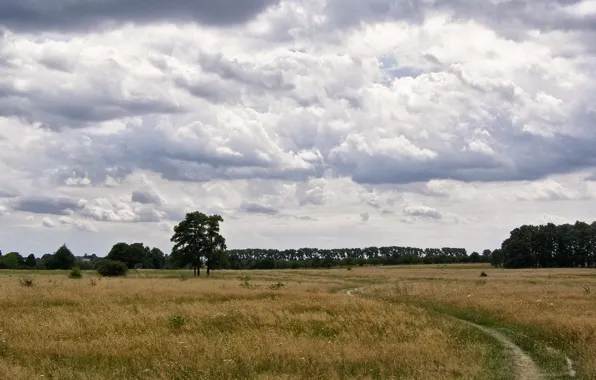 Картинка поле, лето, облака