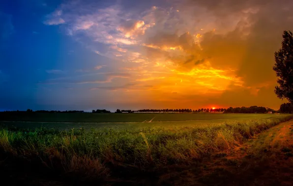 Картинка поле, лето, закат