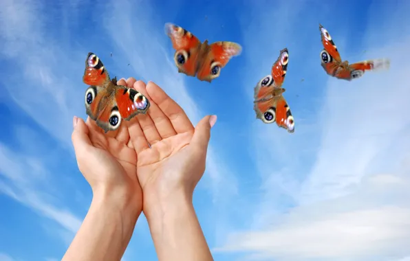 Картинка небо, бабочки, руки