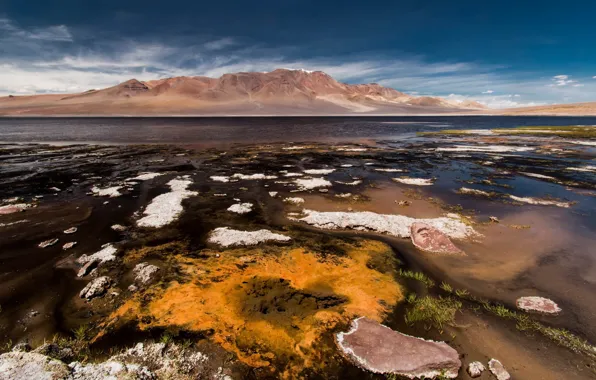 Chile, San Pedro de Atacama, Antofagasta Region