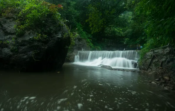 Зелень, лес, заросли, листва, водопад, водоем