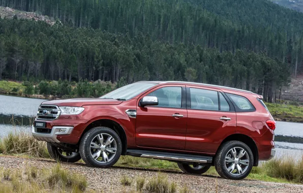 Лес, Ford, сбоку, Everest, Limited, 4WD, 2015