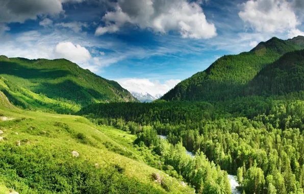 Nature, Earth, Environment
