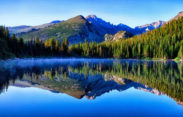 Картинка лес, небо, горы, озеро