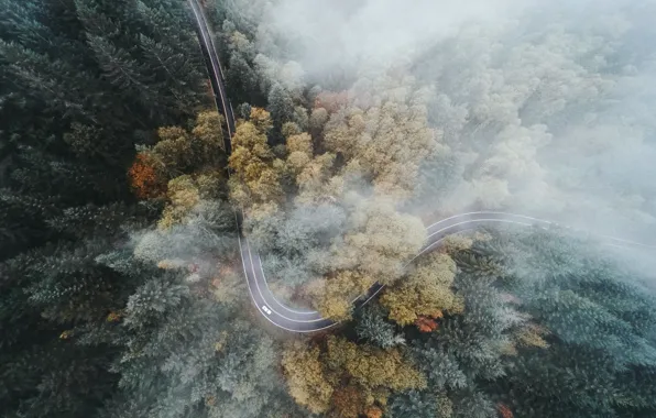 Картинка машина, лес, природа, туман, деревья.дорога, вид сверх