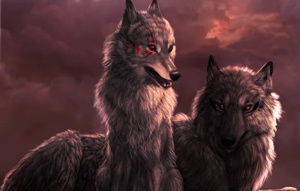 Очень красивые картинки волка и волчицы — подборка изображений
