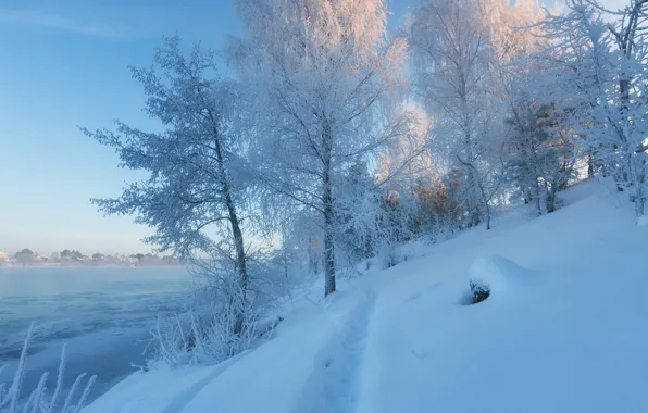 Картинка зима, снег, деревья, река, сугробы, тропинка, Дубна, Московская область