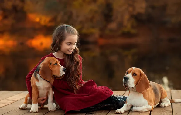 Картинка собаки, девочка, друзья, боке, Бигль, Екатерина Борисова