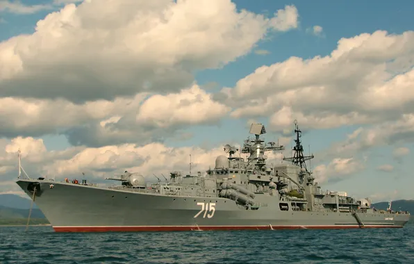 Быстрый, эскадренный, миноносец, проект 956