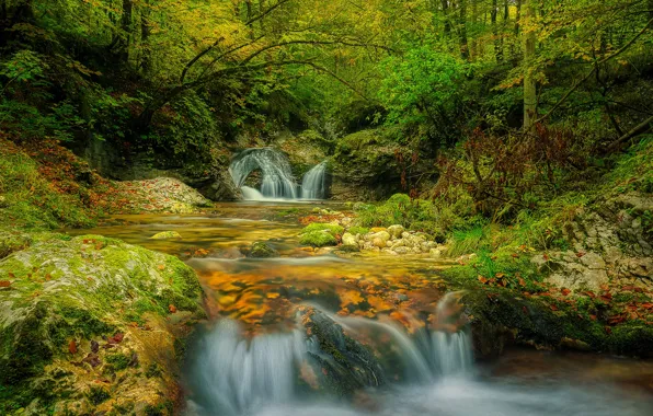 Лес, листья, деревья, ручей, камни, водопад, мох, Slovenia