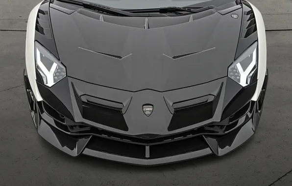 Мощь, суперкар, спорткар, supercar, Lamborghini Aventador, Mansory, sports car, единственный экземпляр