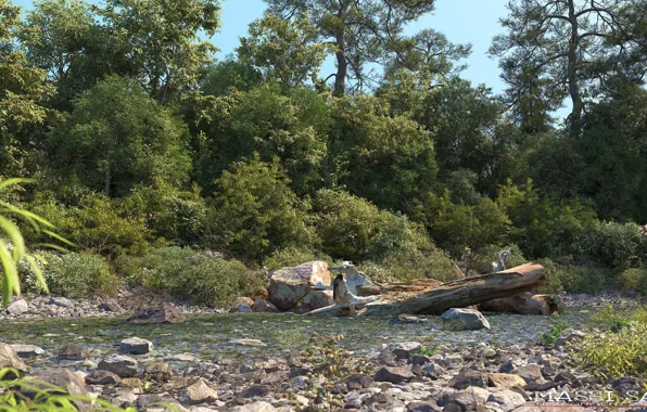 Река, берег, растительность, бревно, creek