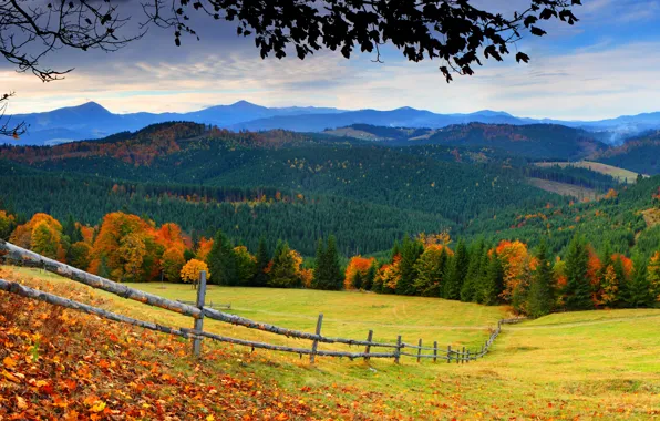 Картинка дорога, осень, лес, небо, трава, листья, деревья, горы