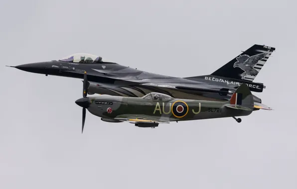 Картинка F-16, Spitfire, Fighter
