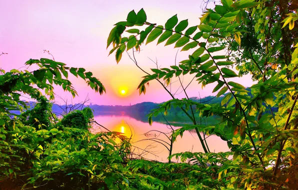 Sun, Water, Sunrise, Dawn, Morning, Lake, Trees, Reflection