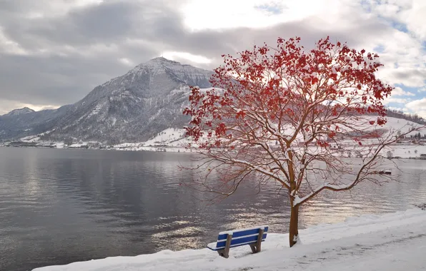 Картинка зима, горы, река, дерево, скамья