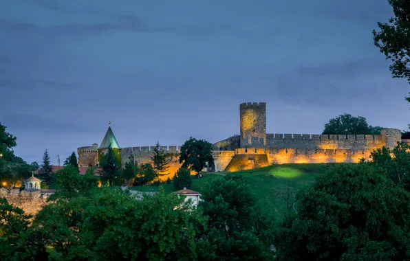 Деревья, вечер, холм, крепость, Сербия, Kalemegdan, Belgrade Fortress