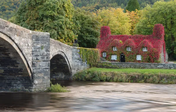Осень, мост, дом, река, здание, Англия, England, Уэльс