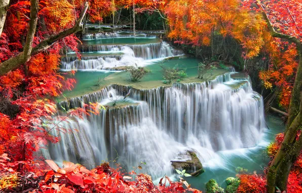 Осень, деревья, ветки, природа, скалы, берег, листва, вид