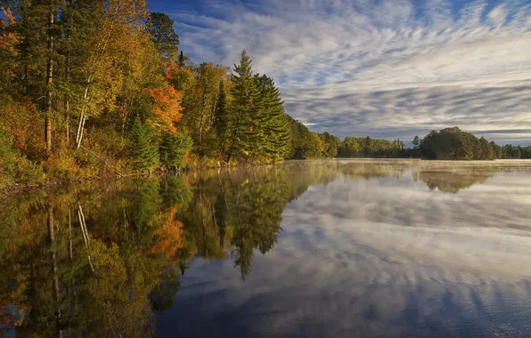 Картинка осень, лес, небо, облака, деревья, озеро