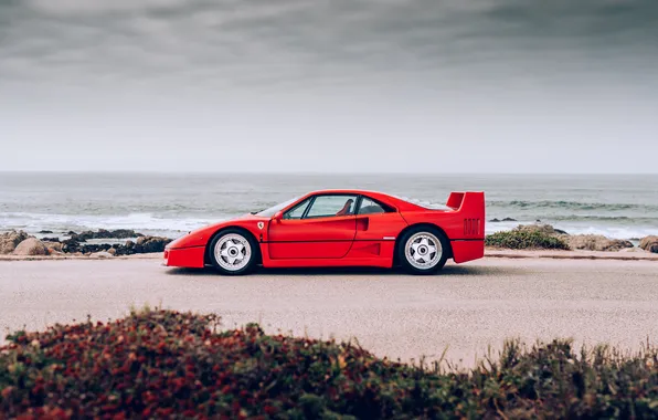 Car, Ferrari, supercar
