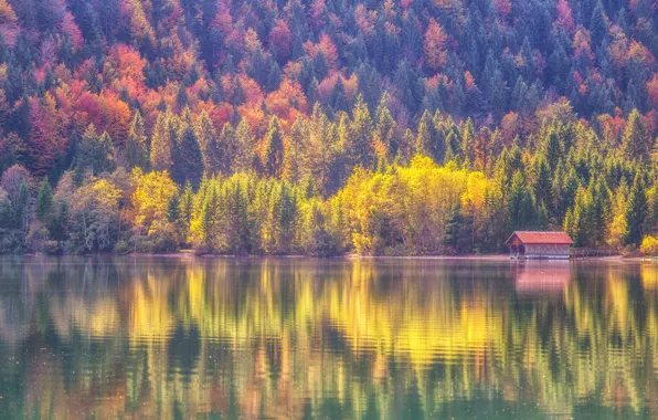 Картинка осень, лес, озеро, отражение