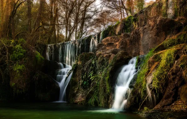 Лес, деревья, скала, водопад, Калифорния, США, San Martin