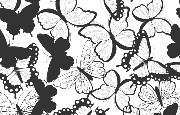 Картинка черно-белый, Узор, Бабочки, Текстура