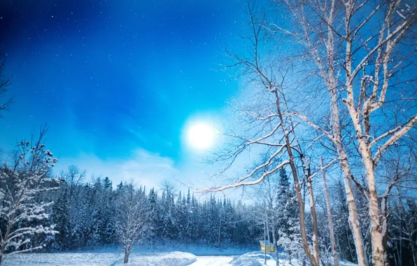 Картинка зима, дорога, лес, небо, снег, деревья, берёзы