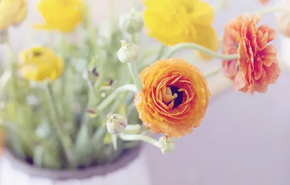 Flowers, buds, jar