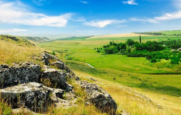 Зелень, поле, лето, небо, деревья, синева, камни, поля