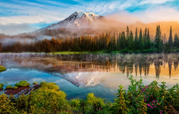 Картинка лес, лето, отражения, туман, озеро, гора, утро, США