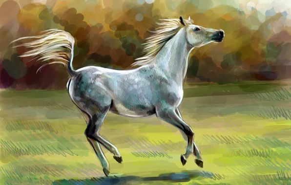 Картинка конь, лошадь, масло, арт, акварель, карандаш, живопись, лошадка