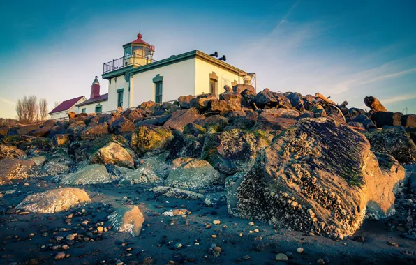 Картинка пейзаж, природа, камни, маяк, Сиэтл, США, Discovery Park
