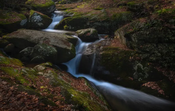 Осень, камни, скалы, листва, водопад, сухие листья