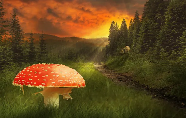 Картинка зелень, лес, лето, небо, трава, деревья, красный, тучи