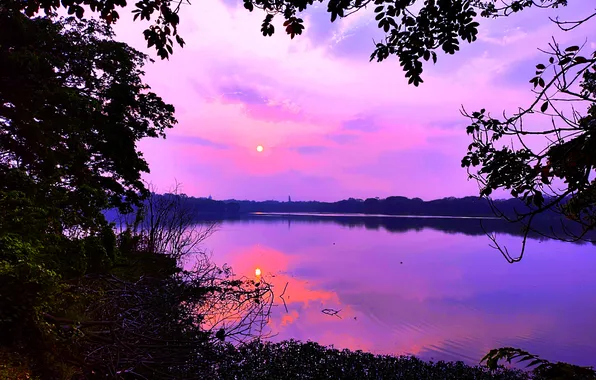 Sun, Water, Sunrise, Dawn, Morning, Lake, Trees, Reflection