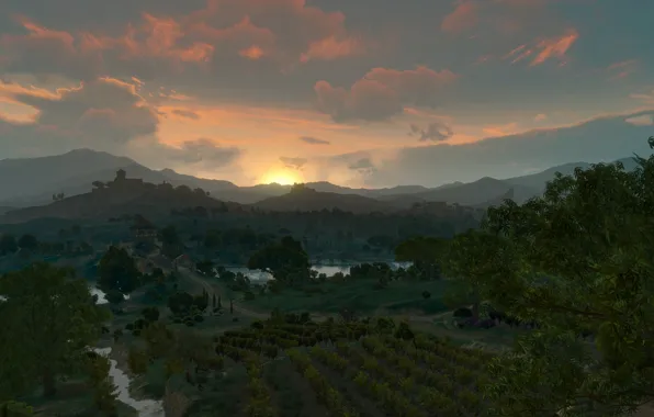Природа, nature, the witcher 3 wild hunt, ведьмак 3 дикая охота, toussaint, туссент