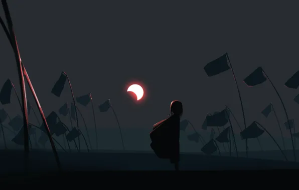 Ночь, туман, луна, девочка, флаги