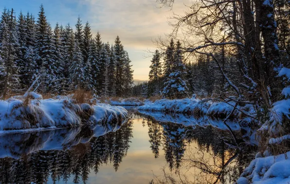 Картинка зима, лес, вода, снег, деревья, отражение, речка