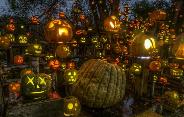 Halloween, Roger Williams Park, Passion for Pumpkins