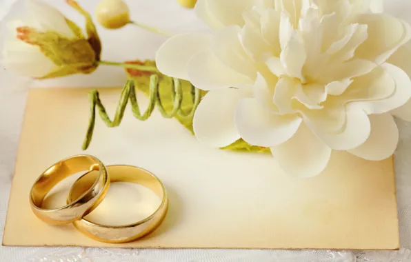 Картинка цветы, кольца, свадьба, flowers, background, ring, soft, wedding