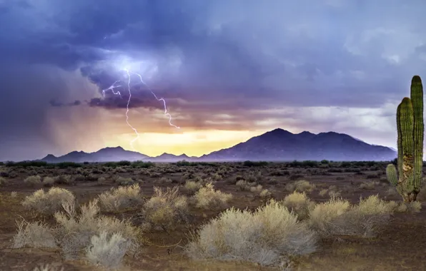 Lightning, Arizona, sandstorm, Monsoon Sunset