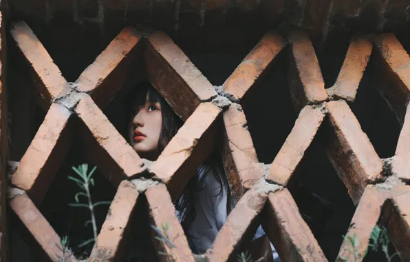 Beautiful, Asian, Model, Wall, Woman, Cute, Pretty, Window