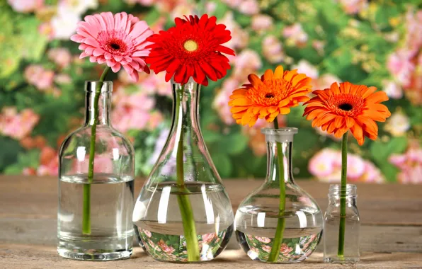 Картинка отражения, цветы, стол, бутылка, боке, хризантема, вазочки
