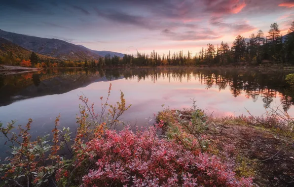 Картинка осень, пейзаж, горы, природа, озеро, утро, лесотундра, Кольский полуостров