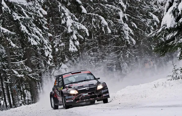 Картинка Зима, Снег, Лес, Гонка, Фары, WRC, S2000, Rally
