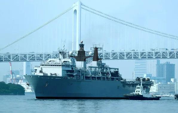 Корабль-док, визит, десантно-вертолетный, HMS Albion, Токио 2018