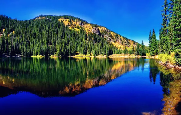 Лес, природа, горное озеро